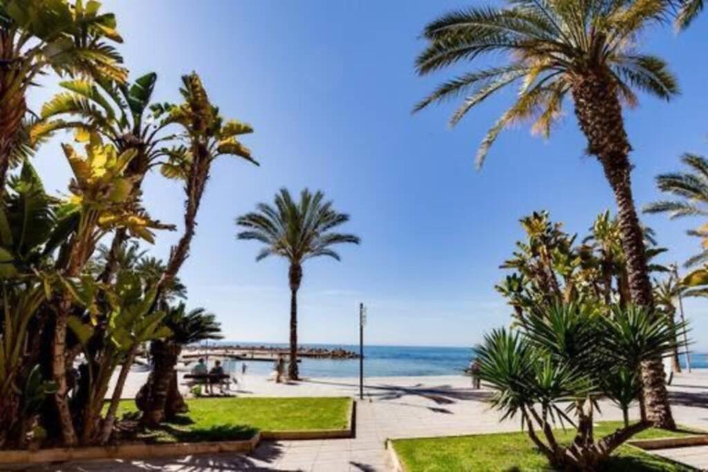 Appartement Penthouse Ramon G-Playa Del Cura à Torrevieja Extérieur photo